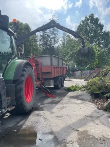 Rislastning med traktor - trädfällning